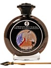 Shunga Chocolate Body Painting 3.5 Oz.