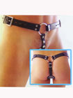 Butt Plug Harness With Cock Ring