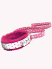 Collar & Leash Horny Honey
