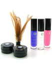 Shunga Geisha's Secrets Collection